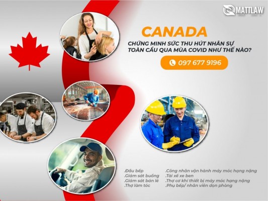 Canada chứng minh sức thu hút nhân sự toàn cầu qua mùa Covid như thế nào?