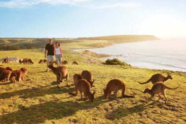 Nước Úc và những lý do được bình chọn là nơi tuyệt vời nhất trên Trái Đất