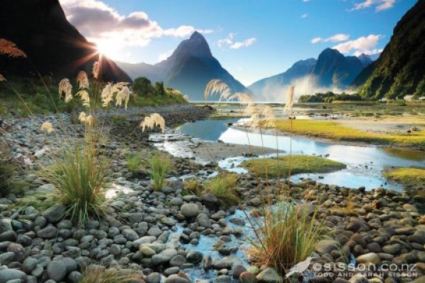 Vì sao rất nhiều người muốn nhập cư New Zealand?