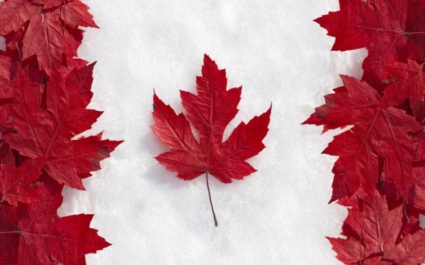 Những điểm nổi bật về tình hình định cư Canada trong năm 2020