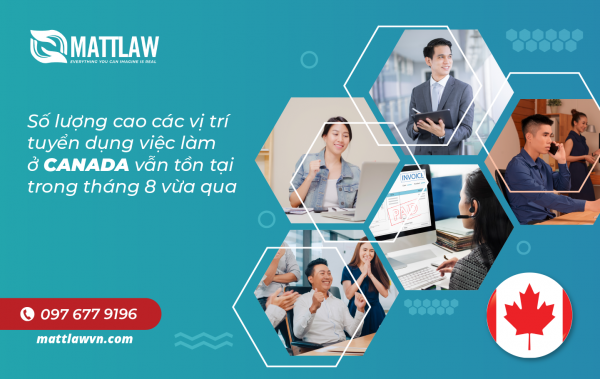 Số lượng cao các vị trí tuyển dụng việc làm ở Canada vẫn tồn tại trong tháng 8 vừa qua