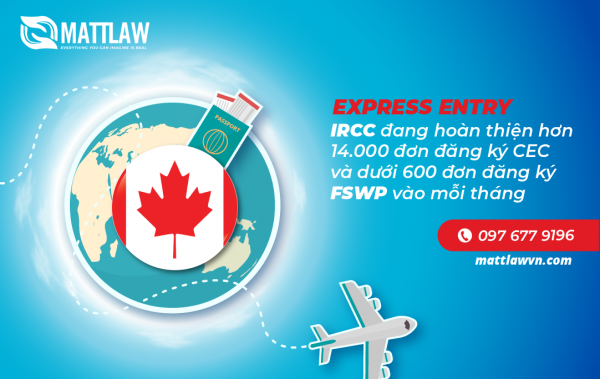 Express Entry: IRCC đang hoàn thiện hơn 14.000 đơn đăng ký CEC và dưới 600 đơn đăng ký FSWP vào mỗi tháng