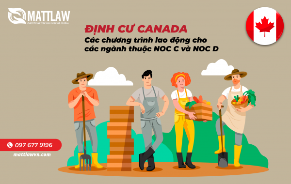 Định cư Canada : Các chương trình lao động cho các ngành thuộc NOC C và NOC D